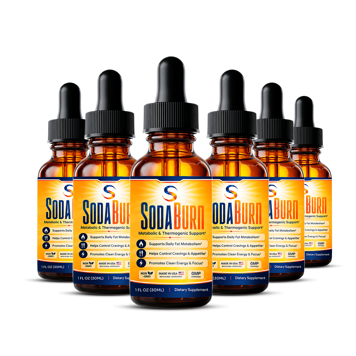SodaBurn 6 Bottle Package